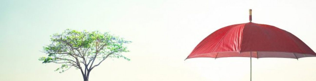 Sheikh Mohammed Issues New Endowment Law for Dubai